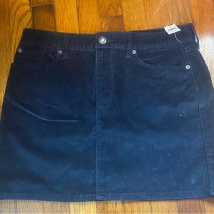 Gap Blue Corduroy Skirt Size 10 NWT